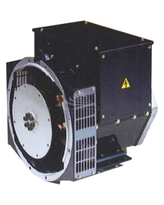 DINGOL DG164C Alternatore Trifase 13.5 KVA AVR