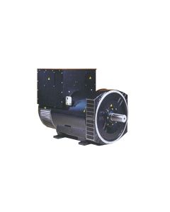 DINGOL DG544B Alternatore Trifase 450 kVA AVR